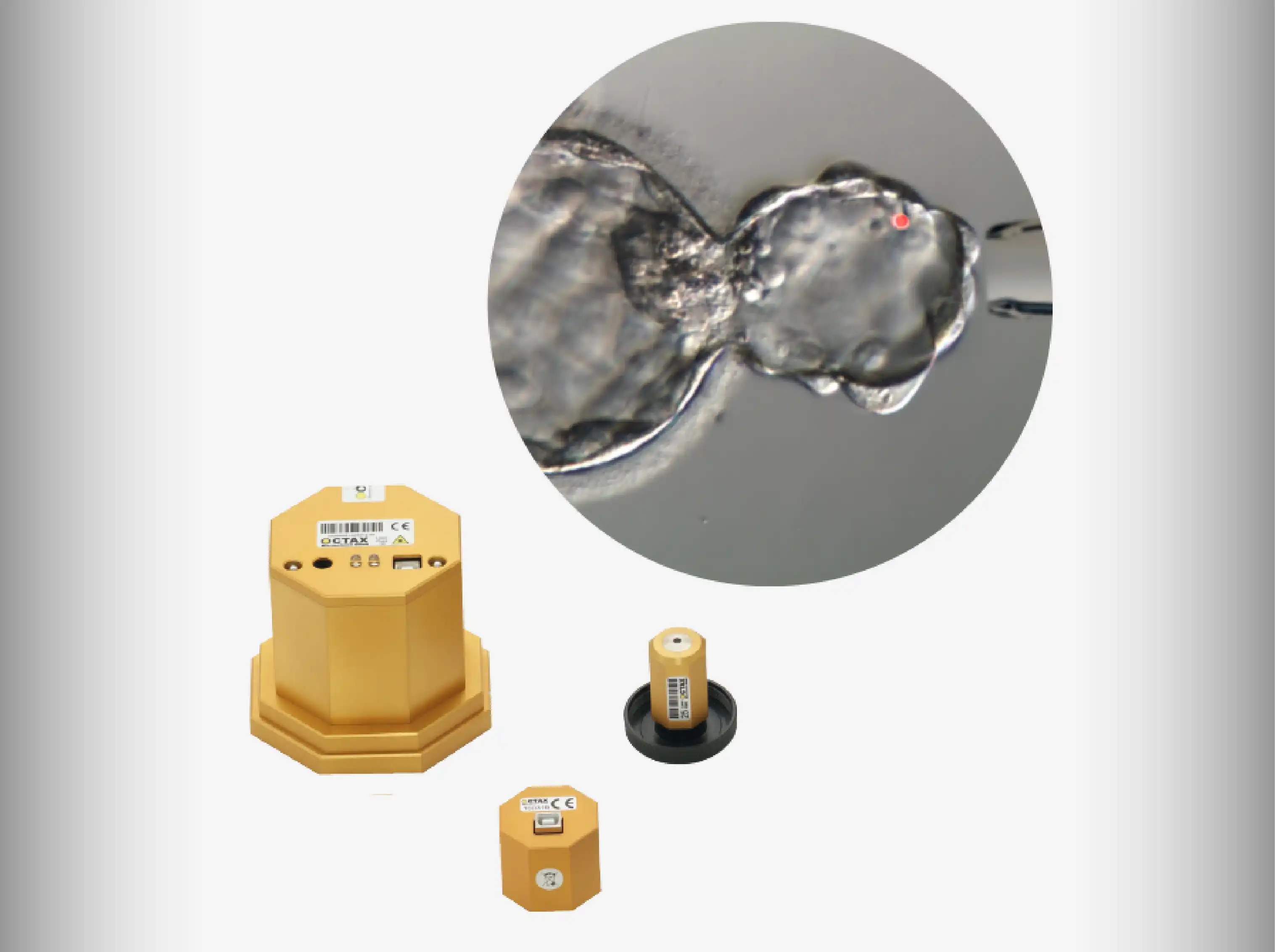 In Vitro Fertilization (IVF) | KSA